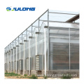 Commercial muti-span polycarbonate greenhouse